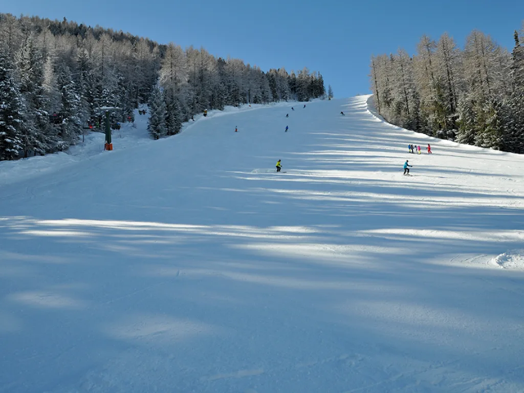 Blick auf eine breite Waldschneise als Piste.